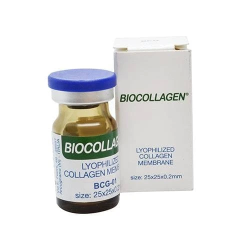 Membrana Biocollagen Bioteck 25x25 mm